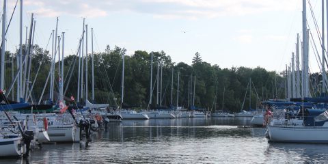 Bronte Harbour Yacht Club